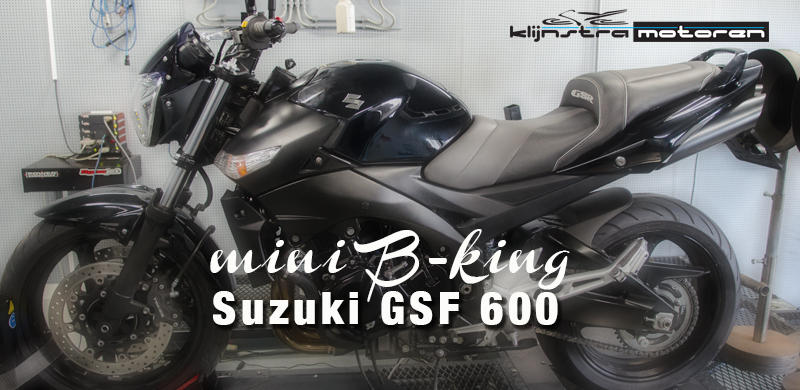 SuzukiGSF600 mini B-King