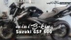 SuzukiGSF600 mini B-King