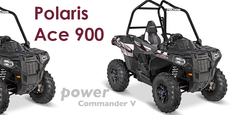 Polaris Ace 900